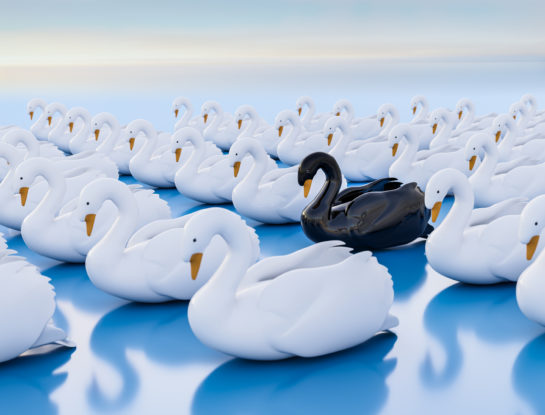 Risikomanagement und Firmenverkauf