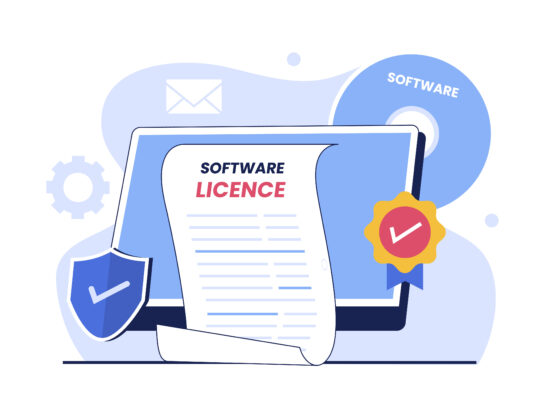 Softwarefirma kaufen